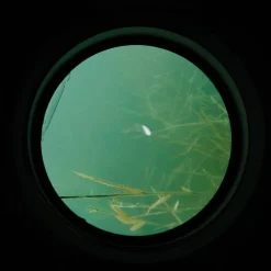 Aquascope carpe carp spirit water scan