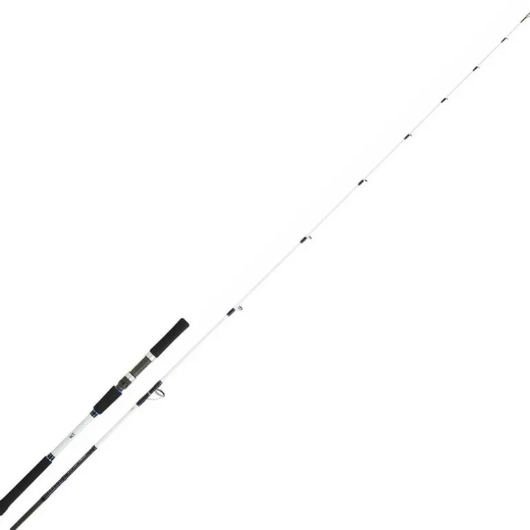 Canne bay jiggin daiwa saltist off shore 2.06m 60/150g
