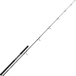 Canne Casting Daiwa Saltiga 2.46m max 100g