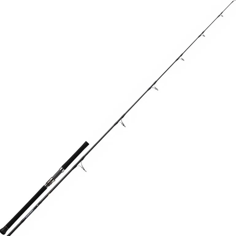 Canne Casting Daiwa Saltiga 2.46m max 100g