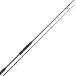 Canne Daiwa Infeet Seabass 2.74m