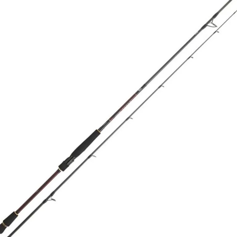 Canne Daiwa Infeet Seabass 2.74m