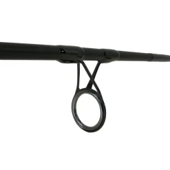 Canne Léon Hoogendijk Black Diamond NG 12' 5 lbs