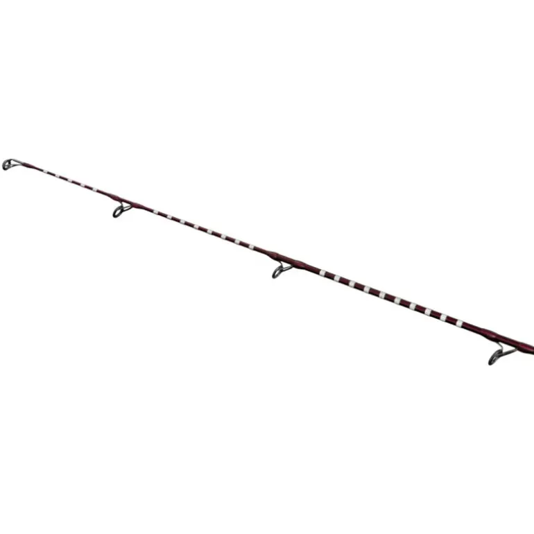 Canne Shimano Power Surf H 425 BX 4.25m 225g