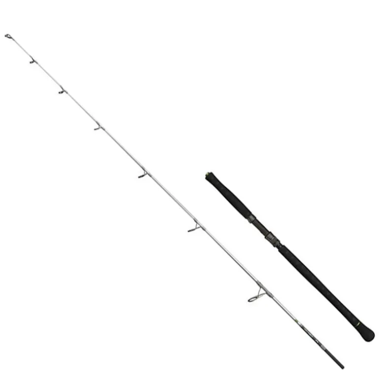 Canne Silure Spining MadCat Full Force Spin 50-125 g