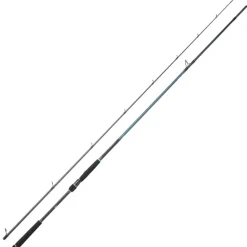 Canne Spinning DAIWA Caldia Seabass 702XHFS 2m13 28-84g