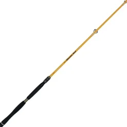 Canne Spinning Illex Element Rider THUNDER BOLT 2.15m 15-60g
