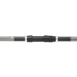 Canne Surfcasting DAIWA Shorecast Surf X 4m20 100-200g