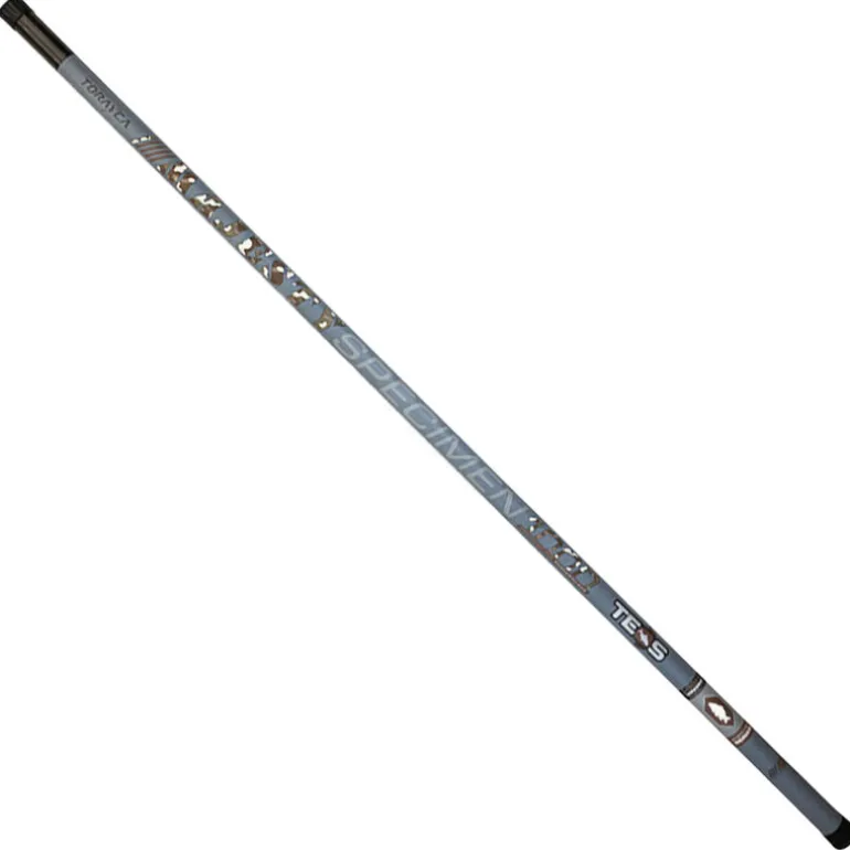 Canne Teos Majesty Specimen 1000