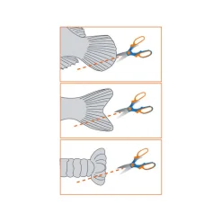 Ciseaux flashmer coupe queues