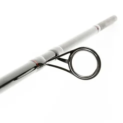 Ensemble carpe 10' 3lbs dark water canne + moulinet team carpfishing