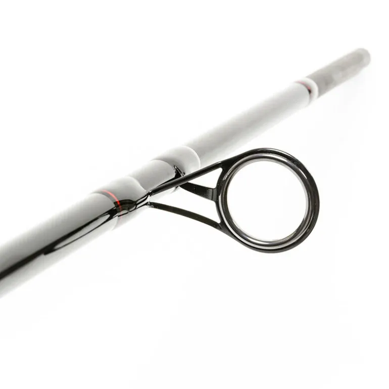 Ensemble carpe 10' 3lbs dark water canne + moulinet team carpfishing