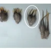 Fly tying jmc plumes de pardo demi pelle grade 1