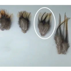 Fly tying jmc plumes de pardo demi pelle grade 1
