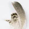 Fly tying plumes de sarcelle jmc