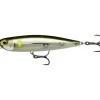 Leurre Dur Stickbait Rapala Precision Xtreme Pencil 8.7cm, 12g