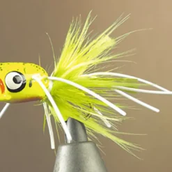 Mouche jmc popper bass 50 popper h10