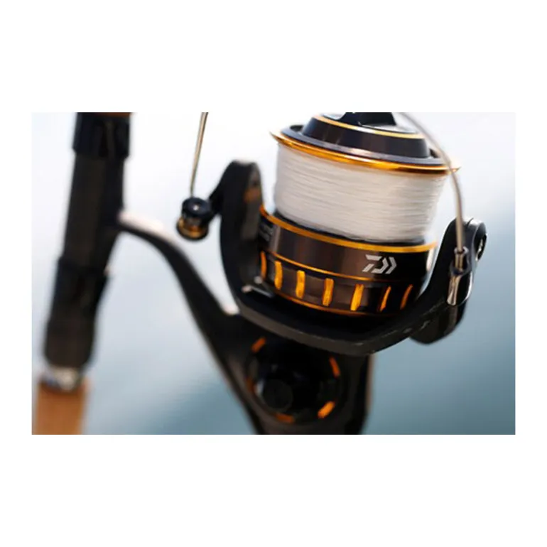 Moulinet daiwa bg black gold 3000