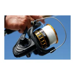 Moulinet Daiwa bg black gold 2500