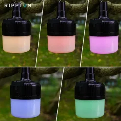 Pack Bite Keeper Black 4+1 + Firefly Biwy Light + 4 Silver Bullet Bobbin