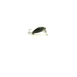 Pack Eco Petit Carnassier