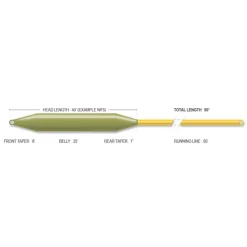Soie flottante Forge Floating Fly Line