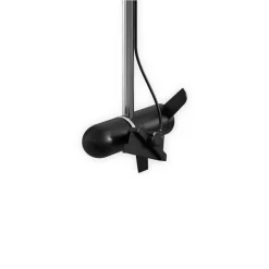 Système Panoptix LiveScope Plus avec Sonde GLS 10 et LVS34
