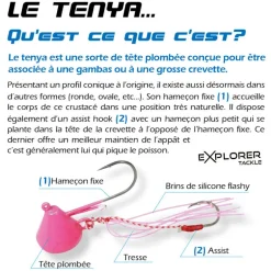 Tête plombée explorer tackle magic tenya deep coque
