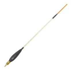 WAGGLERS RIVE W22 - 16 GR